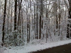 Snow in April near my home in Tennessee